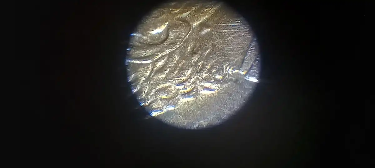 1998-D-Lincoln-Cent-Extra-Ear-Lobe?