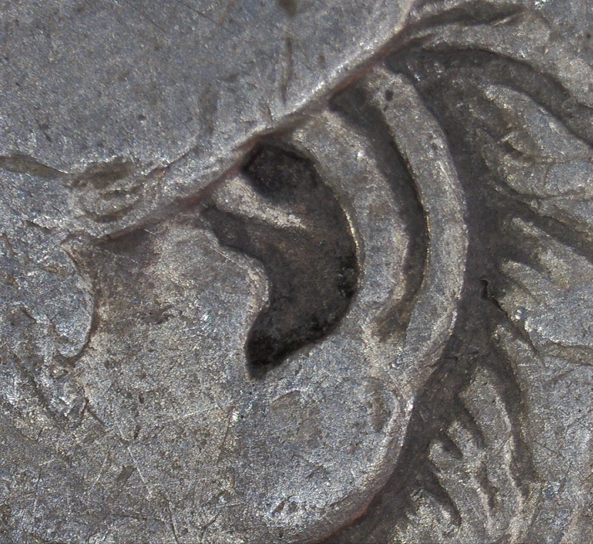 1878-P-8-Tail-Feather-Morgan-Help-Identify?