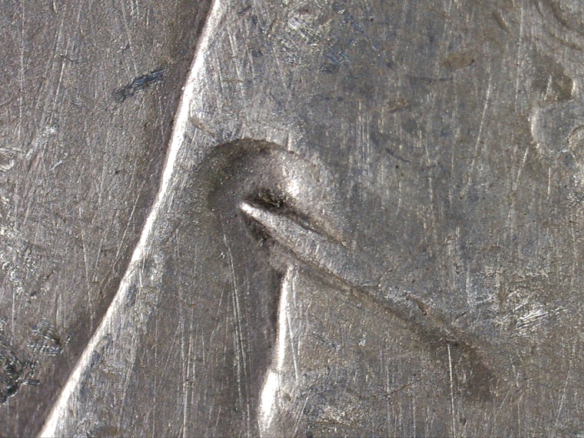 1878-P-8-Tail-Feather-Morgan-Help-Identify?