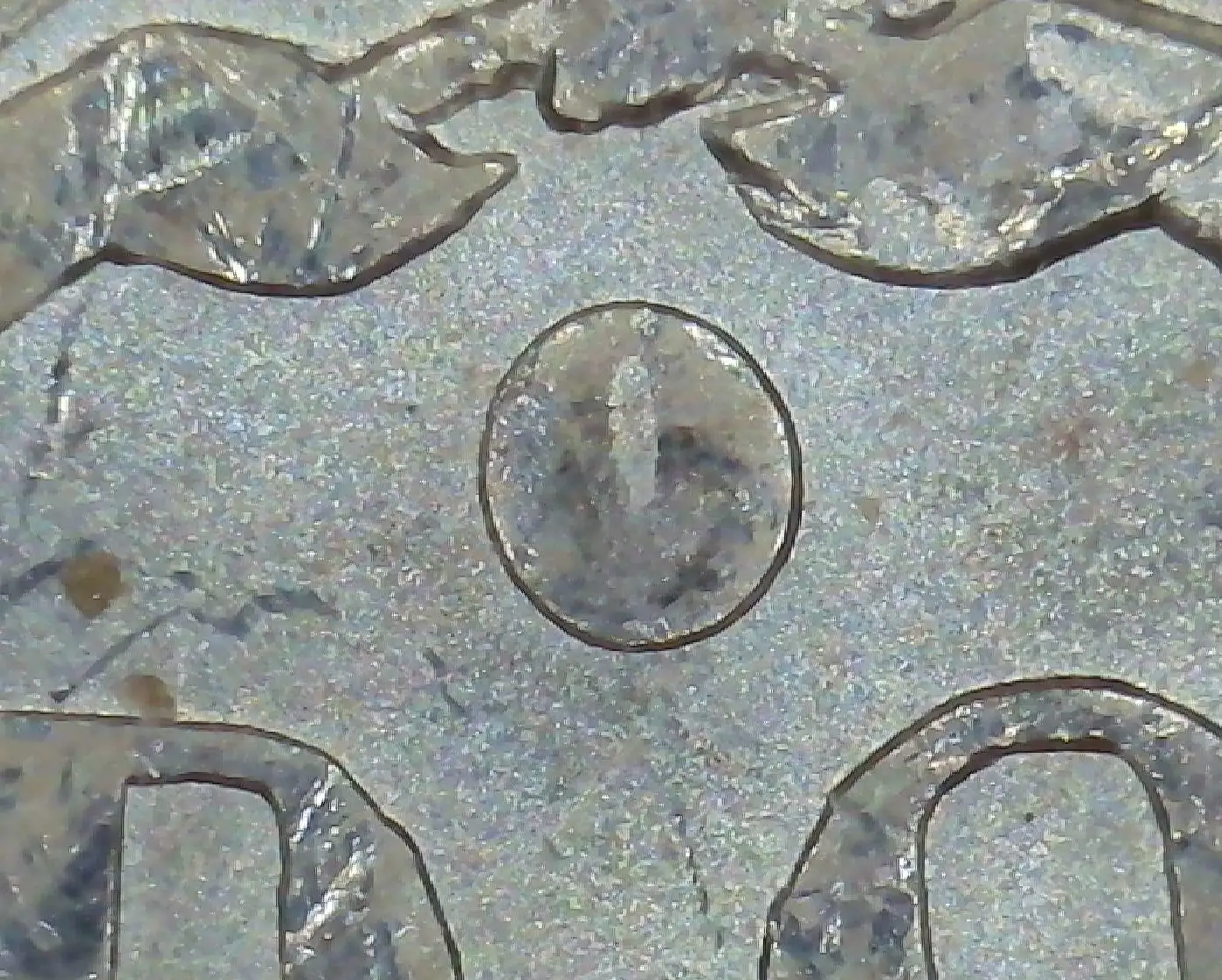 Odd-Mint-Mark-On-A-1884-O-Morgan