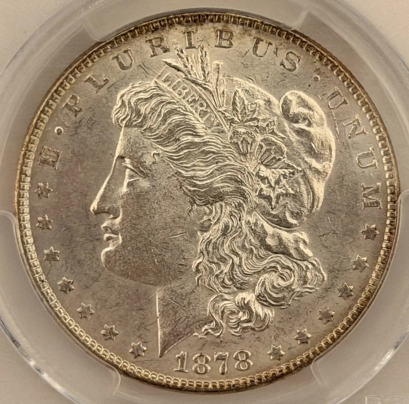 Help-Identifying-A-1878-7TF---Tripled-Liberty