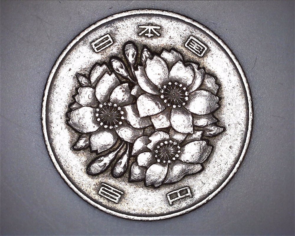 Can-Anyone-Help-Identify?