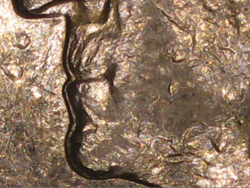 1994-D-Washington-Quarter-Question