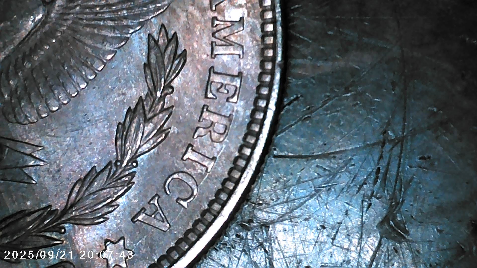 1921-P-Morgan-Dollar-VAM-1Bj