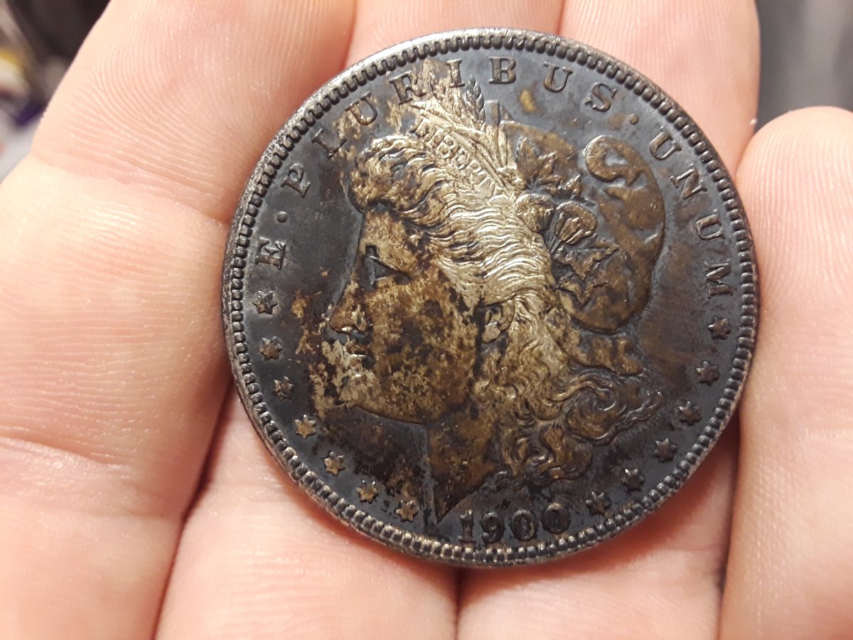 1900-Toned-Morgan-Dollar-Opinions?