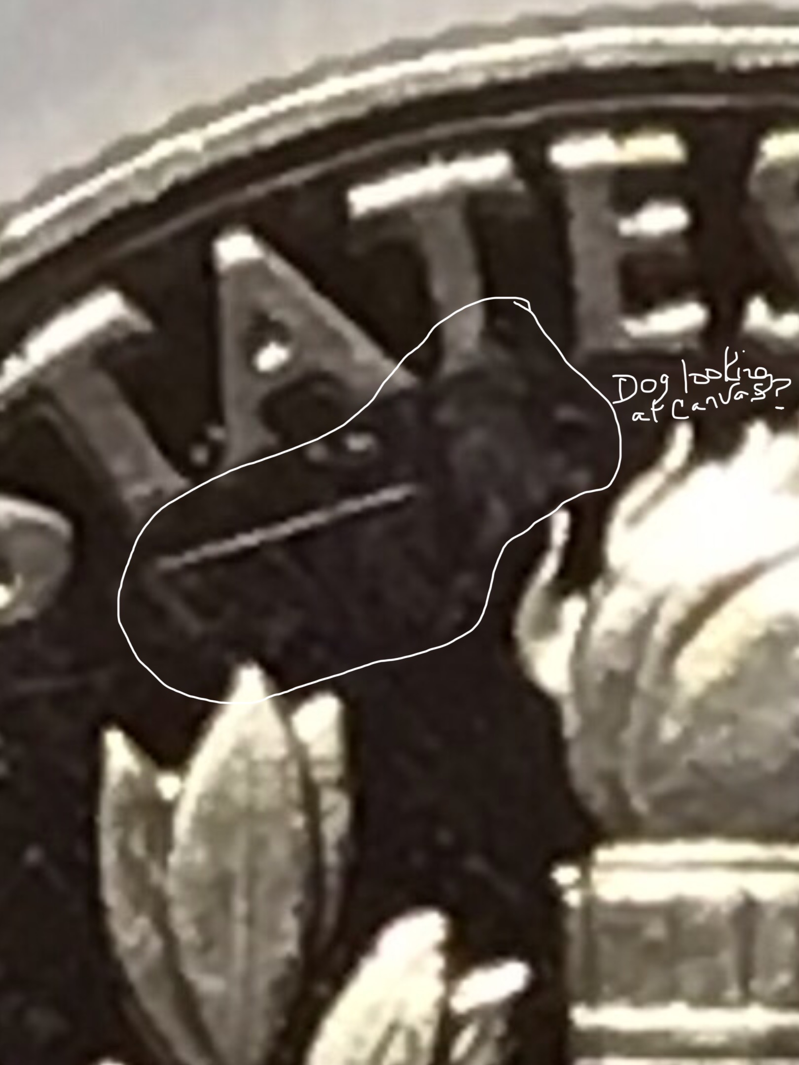 Hi,-Need-Help-With-A-1991-S-Roosevelt-Dime.-Very-Shiny.-Looks-Like-Multiple-Errors.-Thx-You
