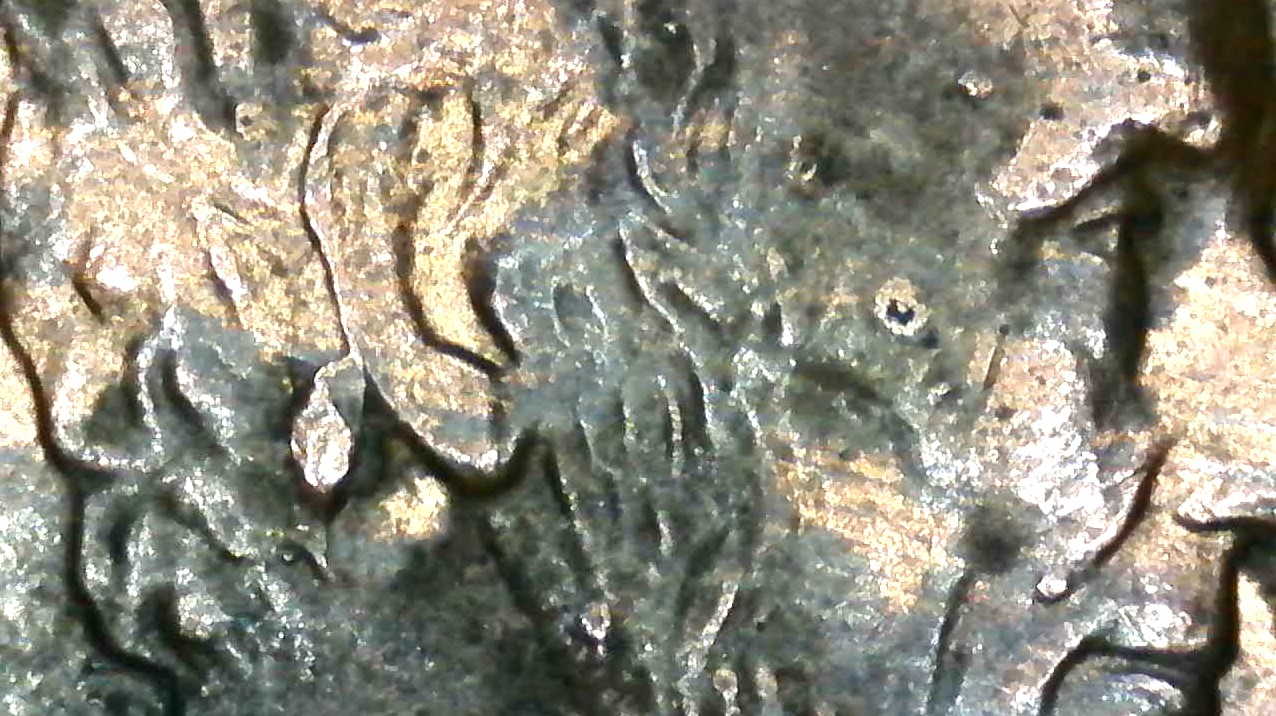 1996-Double-Ear-Penny?