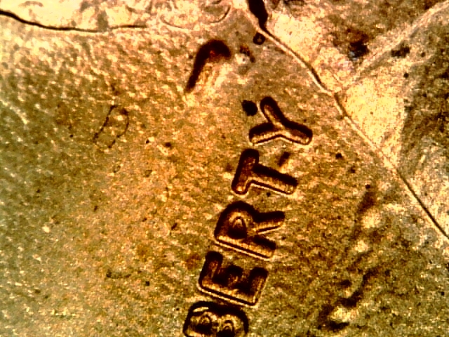 1992-D-LMC-With-Odd-Gouge-On-It