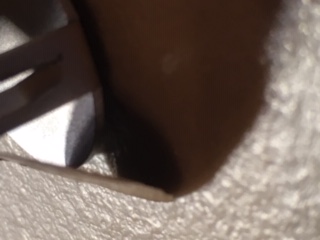 Ultra-Thin-Paper-Thin-1969-D-Lincoln-Memorial-Cent