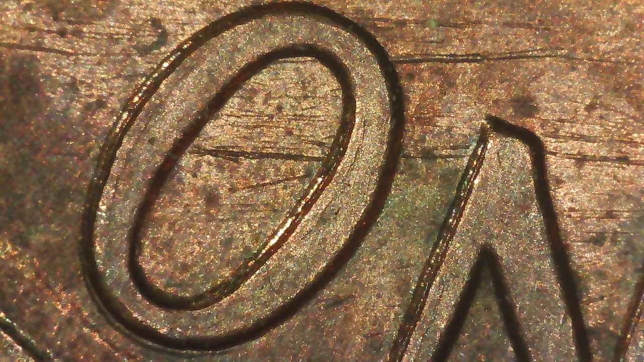 1989-Penny-W/-DDR-And-MD?