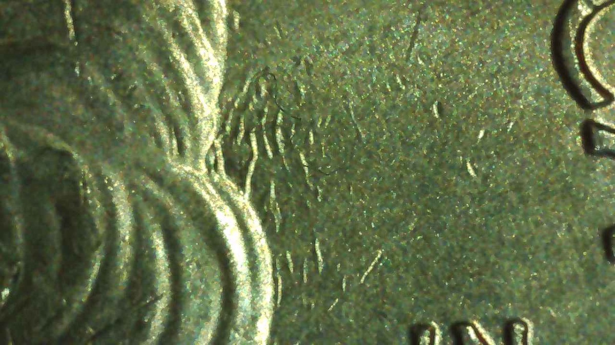 2017-P-Iowa-Em-Quarter-With-Die-Clash