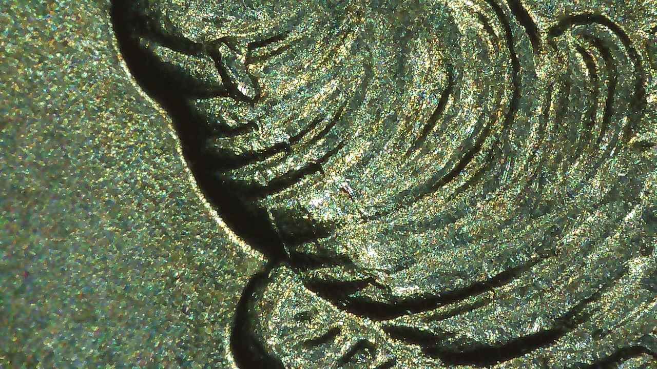 2019-P-Lowell---Ma-Quarter-With-Multiple-Cracks/Chips