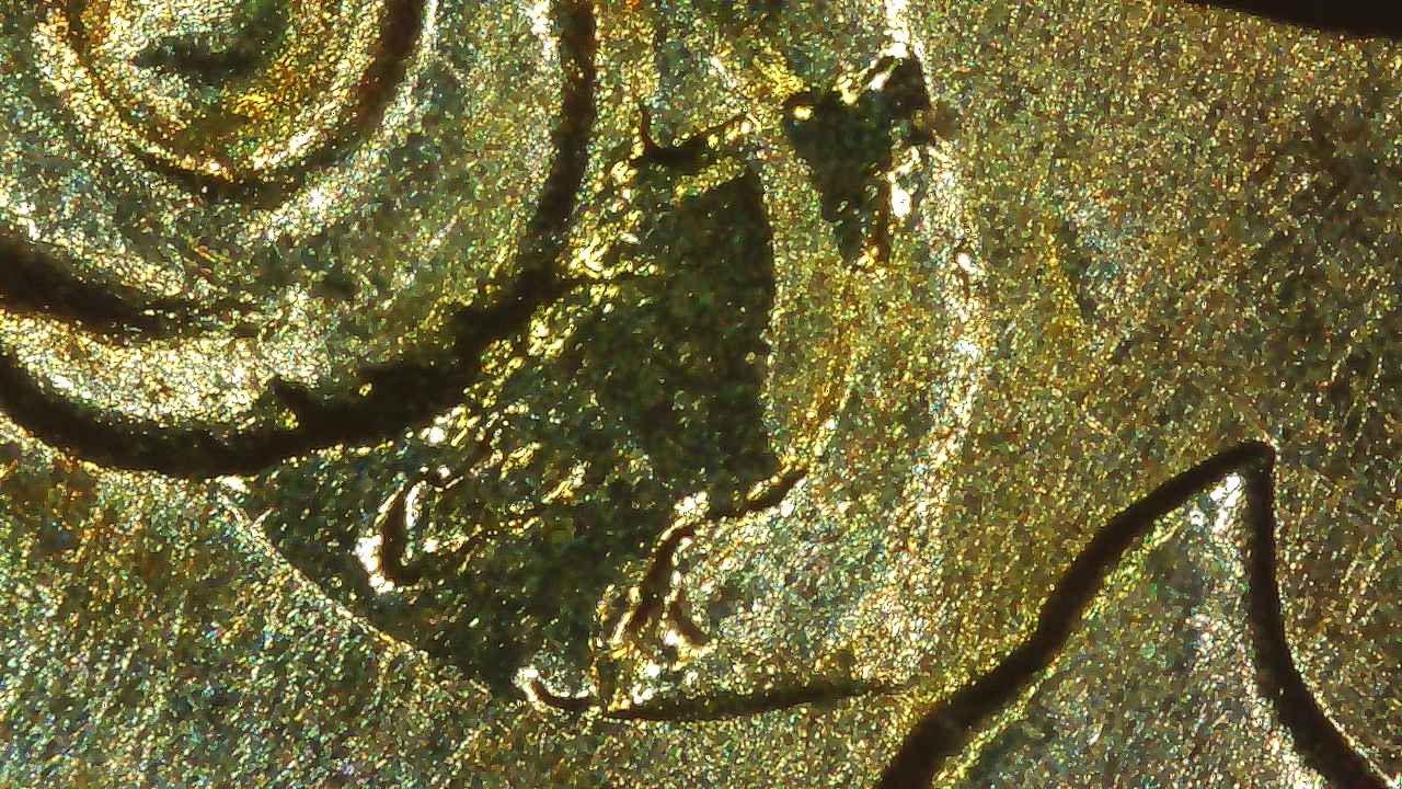 2008-P-Monroe-Presidential-Dollar-With-Strike-Through