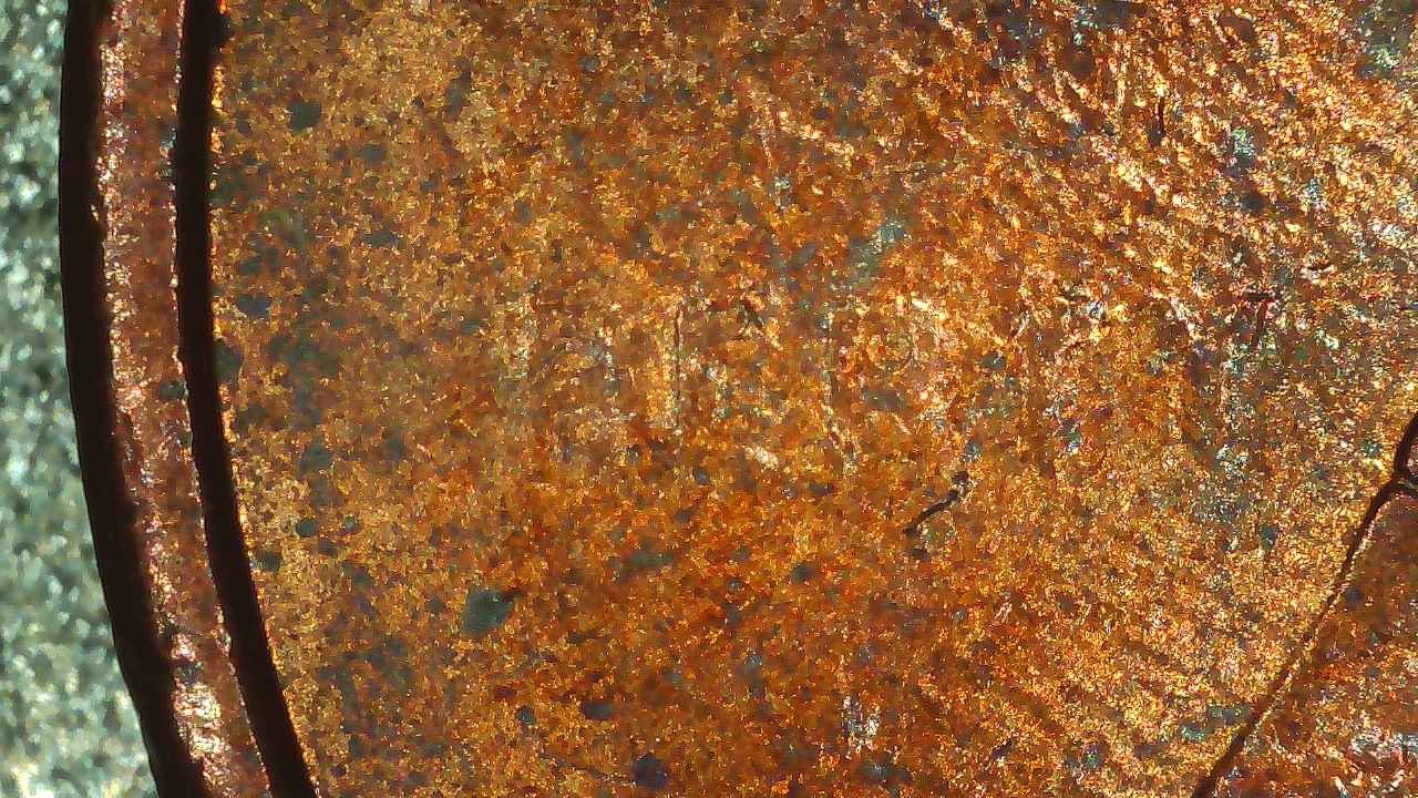 1997-Penny-Struck-Through-Grease-On-Obverse---