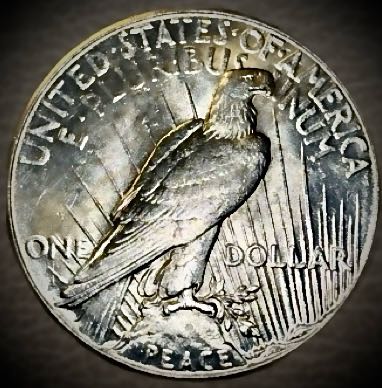 1923-S-Peace-Dollar-For-Grading
