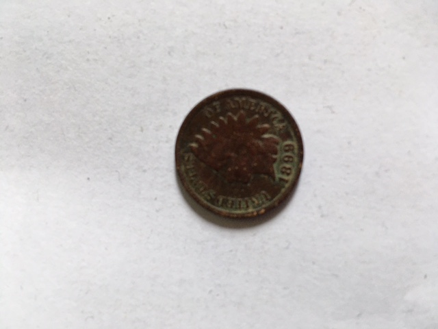 Jacob's-Roll-Hunting-Finds