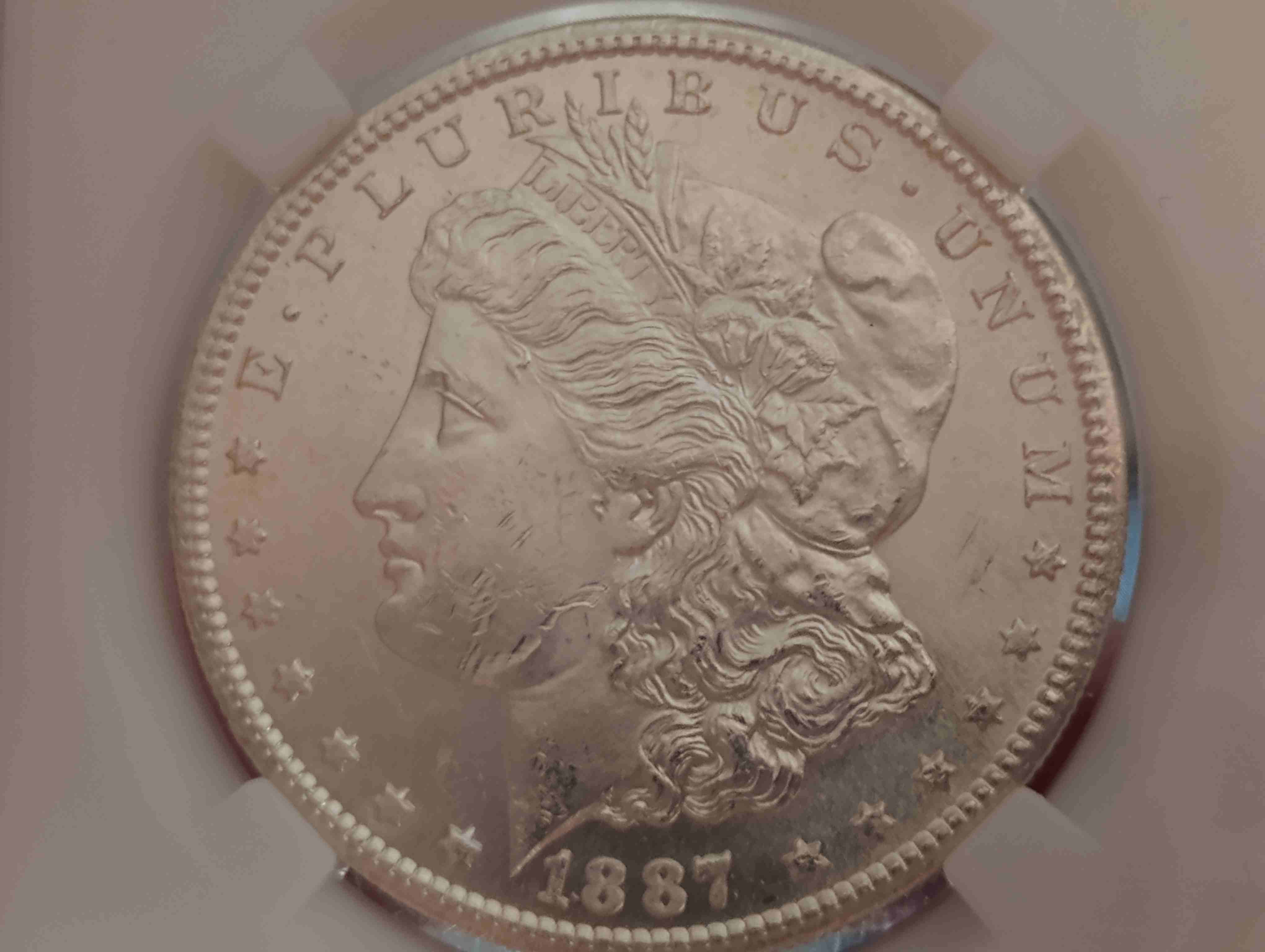 1887-S-Morgan-Bag-Marks