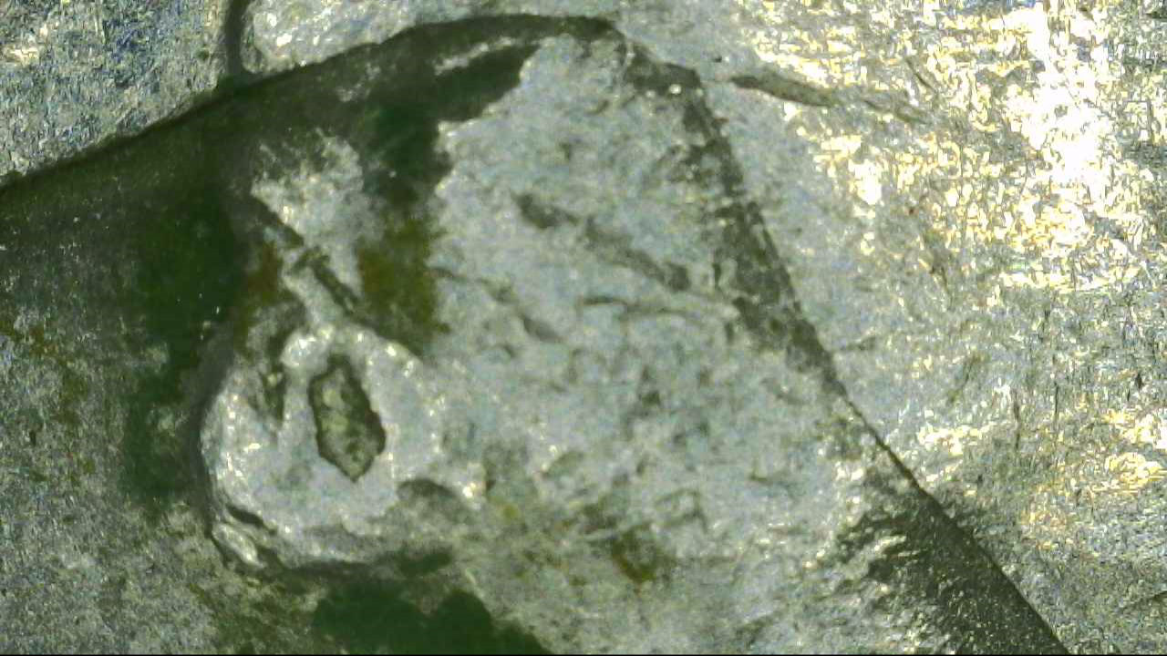 2004-D-Washington-Quarter-Clad-Layer-Problem
