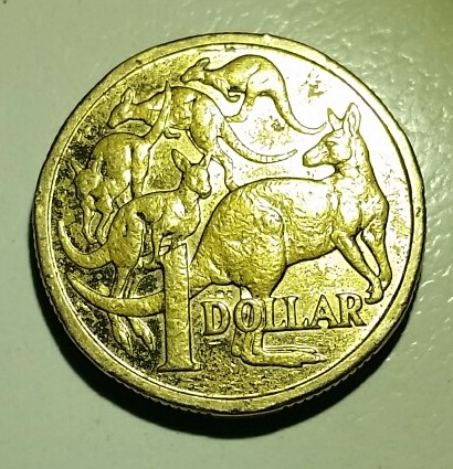 Noodling-Find-Of-The-Week?