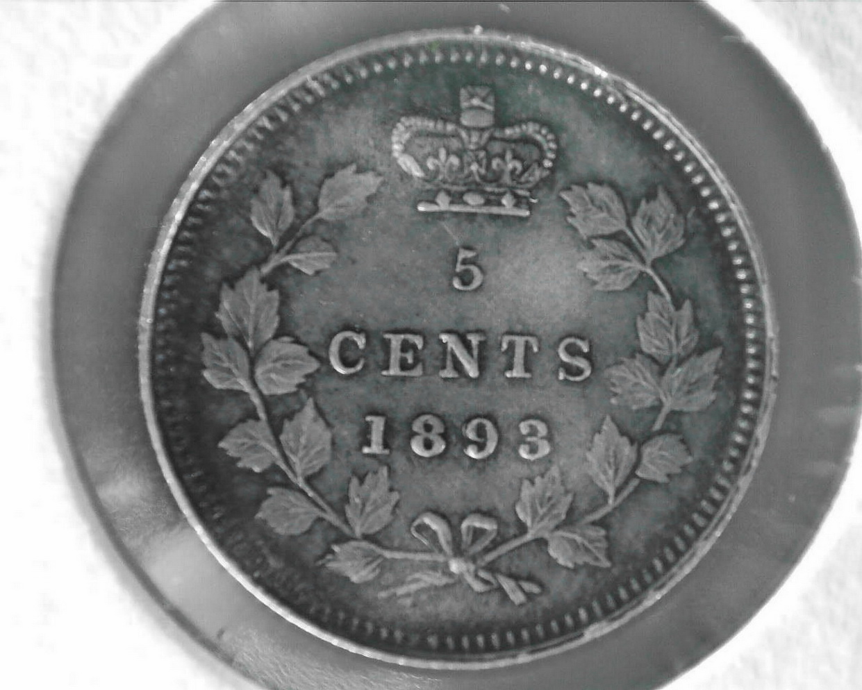 Post-Your-Most-Recent-Canadian-Coin-Purchases!