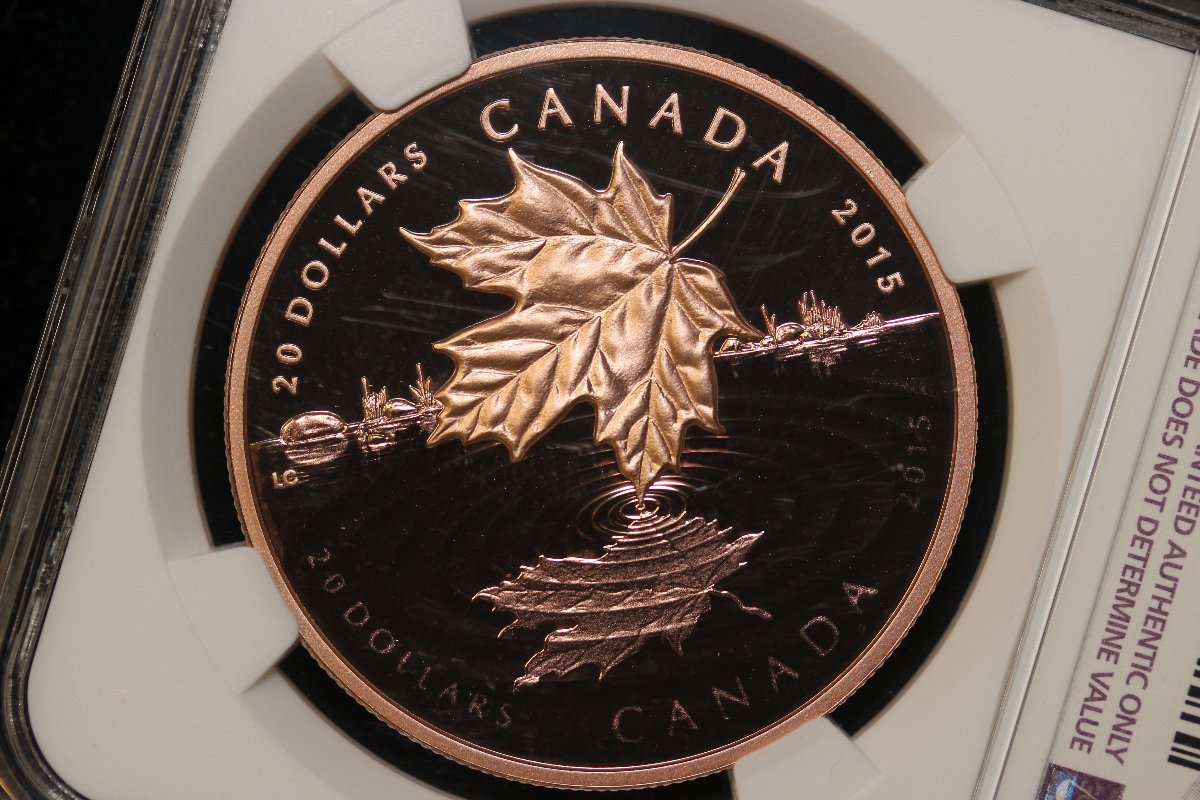 Group-Of-Seven---Golden-Coin?