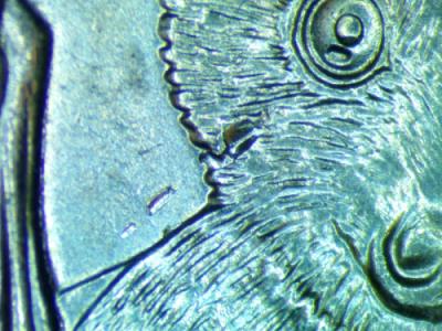 2020-Bat-Quarter-Errror-Piece-Of-The-Die-Came-Lose-&-Was-Stamped-In-Coin