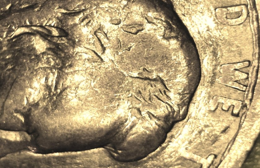 Very-Odd-1994-Penny-Help