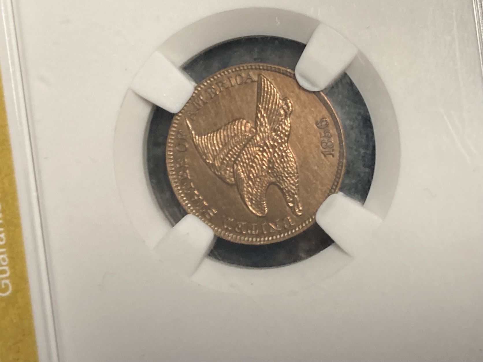 1856-Flying-Eagle-Cent