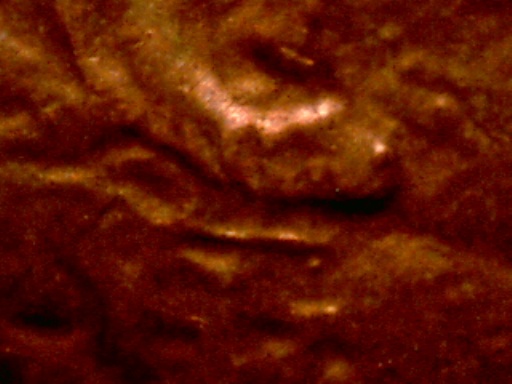 1984-P-Lincoln-Cent-Help-Identifying-Ear-Issue