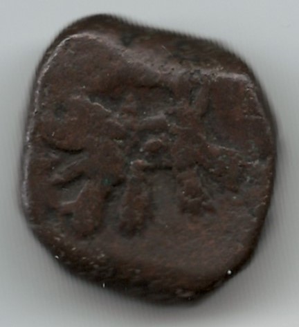 Hyderabad-Elichpur-Tiger-Coin,-But-Which-One?