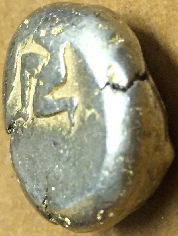 My-First-Animal-On-A-Coin.
