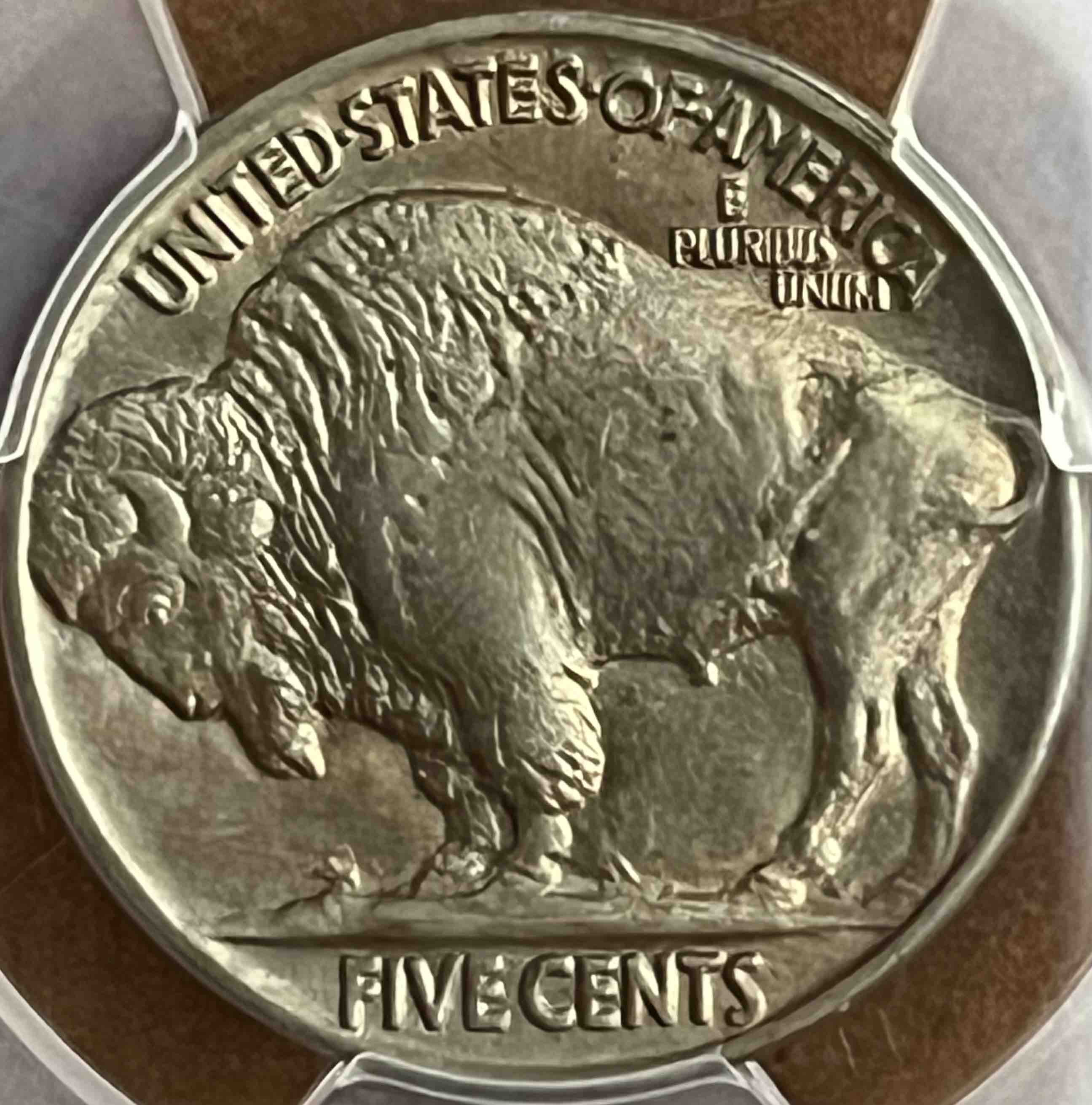 Well-Struck-Buffalos