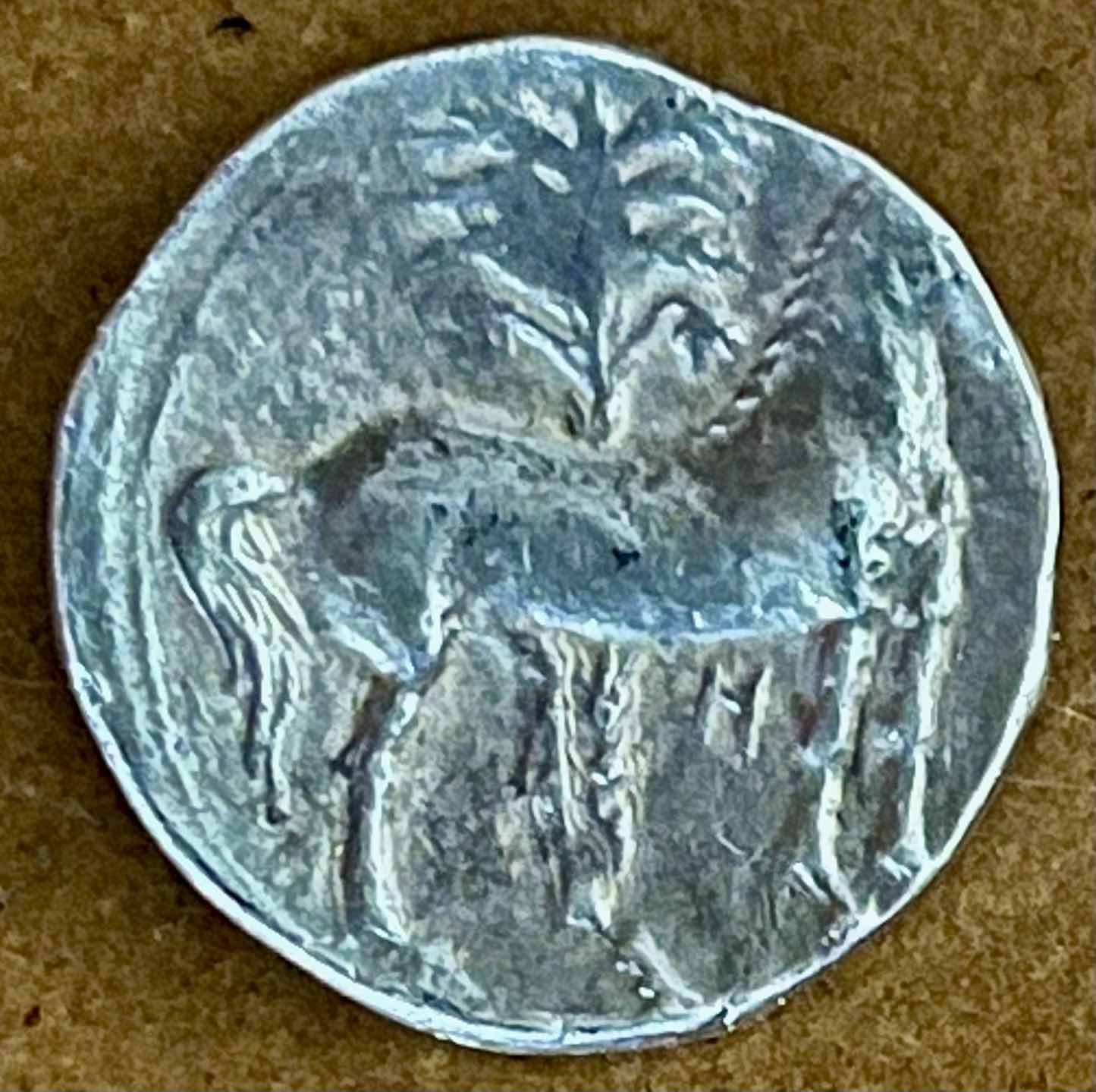 Looking-Back-On-Punic-Carthage