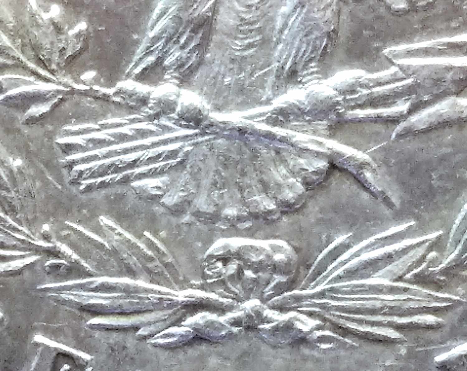1878-7/8-Tail-Feather-For-Grade-Opinions-Please