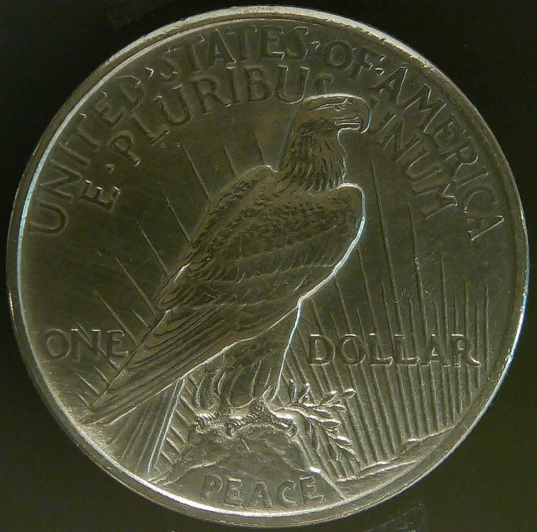 1921-Peace-Dollar-VAM-1f1-Matte-Proof-Die-Strike-With-Polishing-Lines