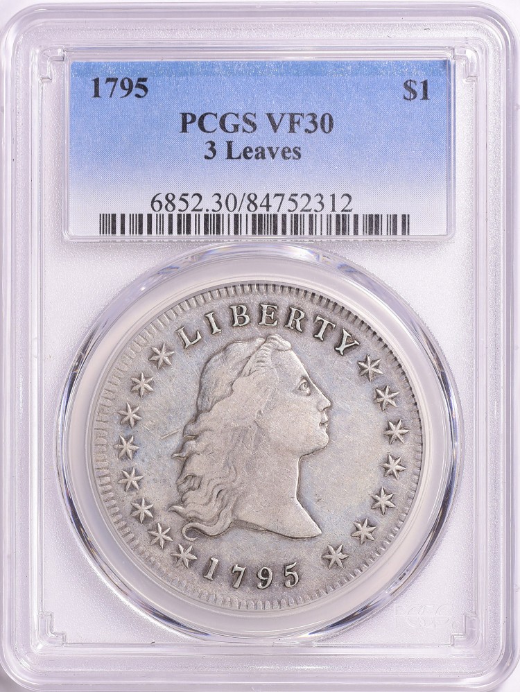 Opinions-On-1795-Dollar---Beauty-Or-Too-Bright?