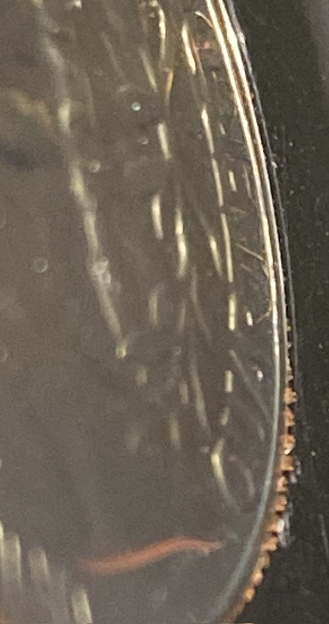 1969-S-Proof-Crenellated-Rim