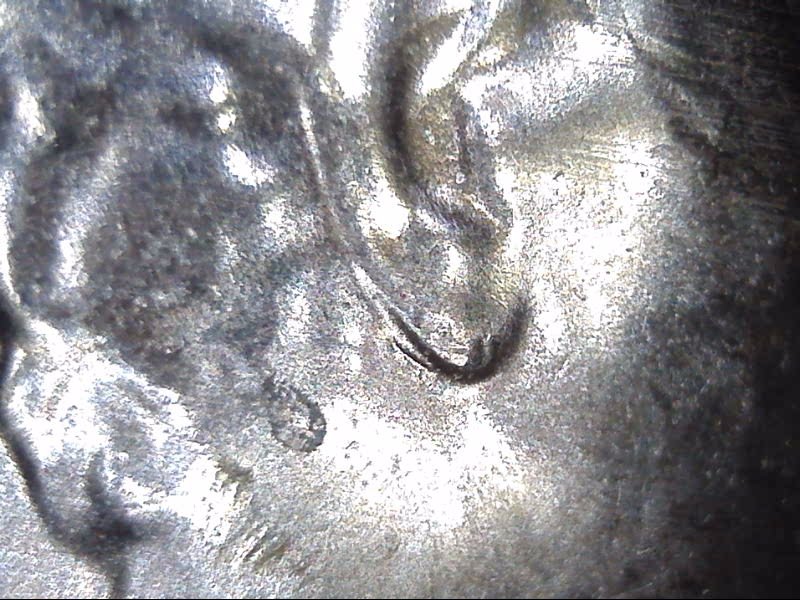 2019-D-LSC-Is-This-A-Doubled-Ear?