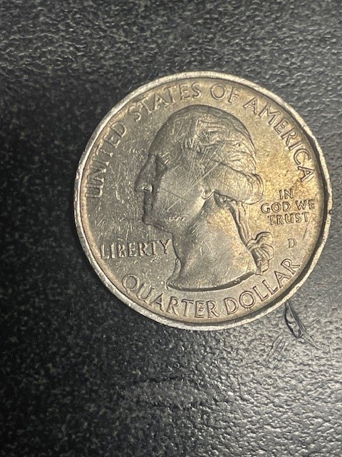 2015-D-Quarter-Possible-Error