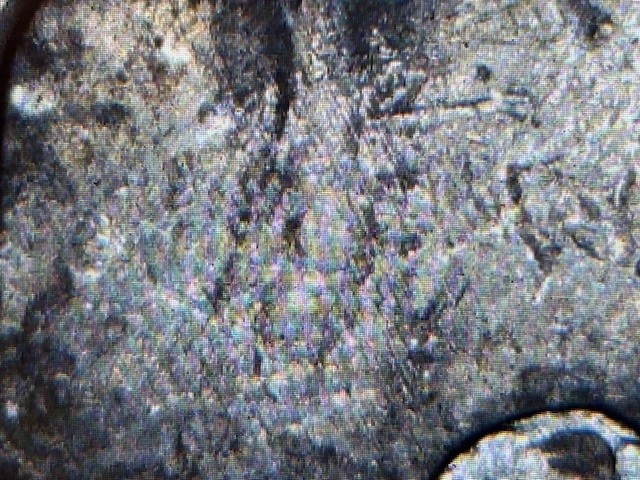 2004-D-Wisconsin-Quarter-Doubling-Errors?-An-R-With-Possible-A-On-It?