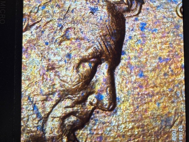 1991-Penny--What-Can-Cause-This?