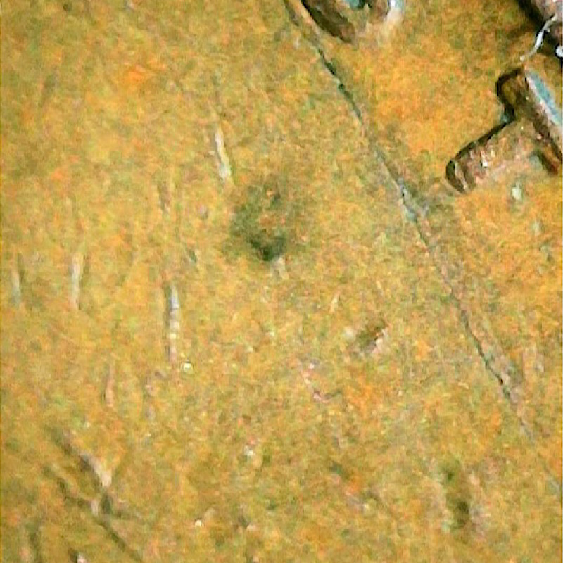 1955-Lincoln-Wheat-Penny,-Dick-Cracks?-Doubling-On-Date?-Lamination?