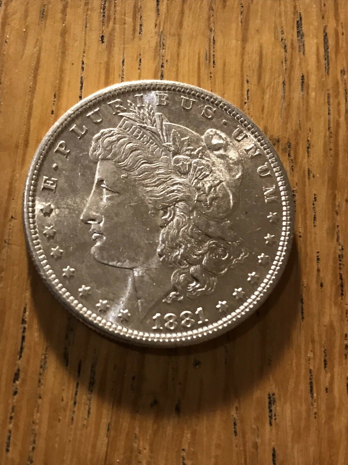 1881-S-Morgan-Dollar-Grade