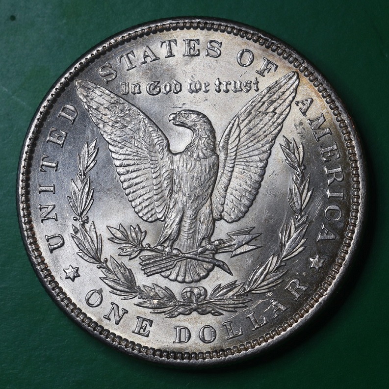 Latest-Purchase---1897-P-Morgan-Dollar