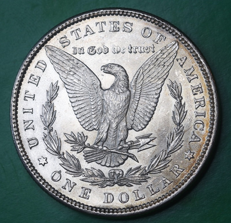 Latest-Purchase---1897-P-Morgan-Dollar