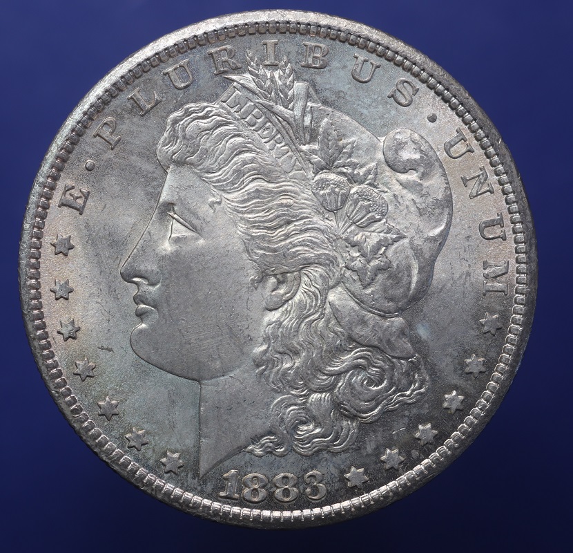1883---CC-Morgan-Dollar-Grade,-With-Video