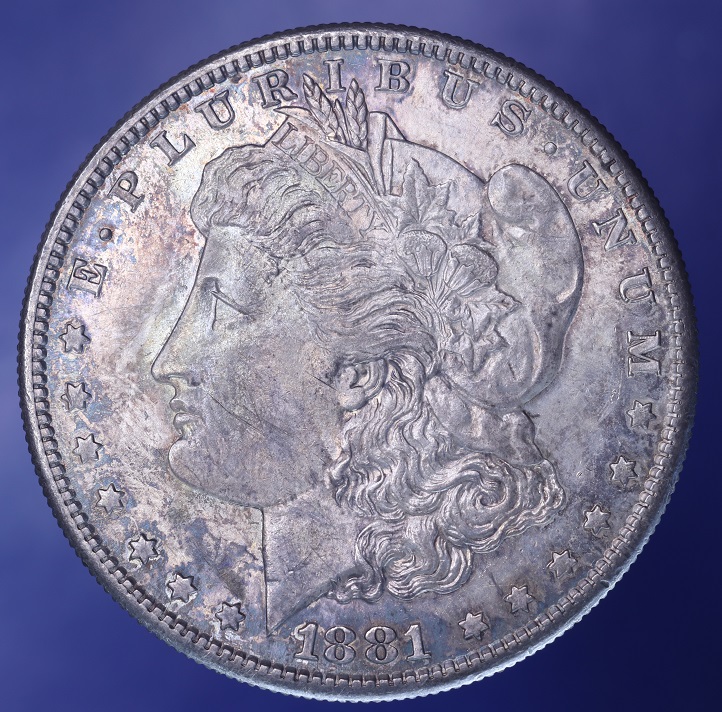 1881---S-Morgan-Dollar-Grade,-Toned