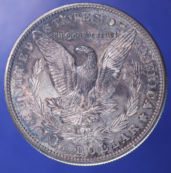 1881---S-Morgan-Dollar-Grade,-Toned
