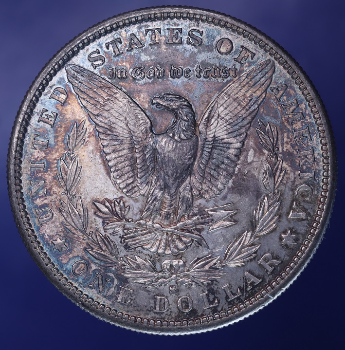 1881---S-Morgan-Dollar-Grade,-Toned