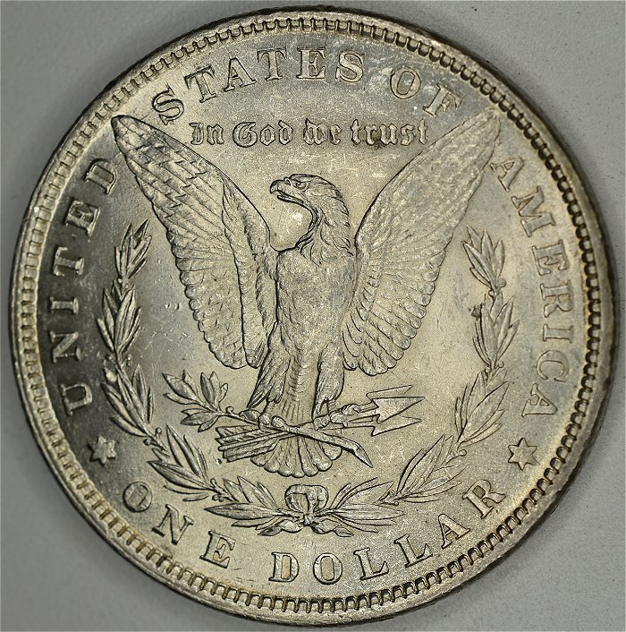 1880-Doubled-Denticles?-What-VAM-Is-This?